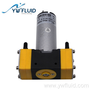 Diaphragm Dual Head Pump Air Pump Water Pump